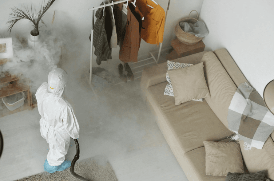 Dead Animal Removal